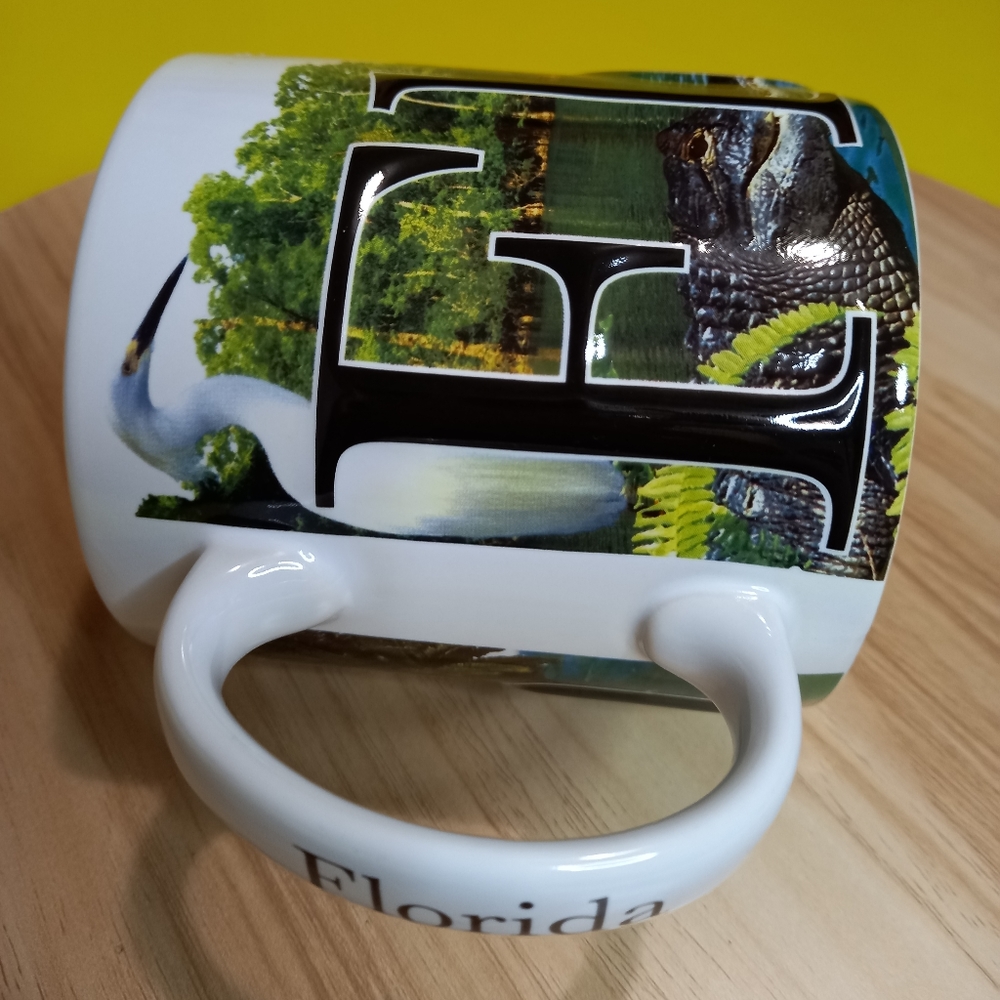 Florida Mug